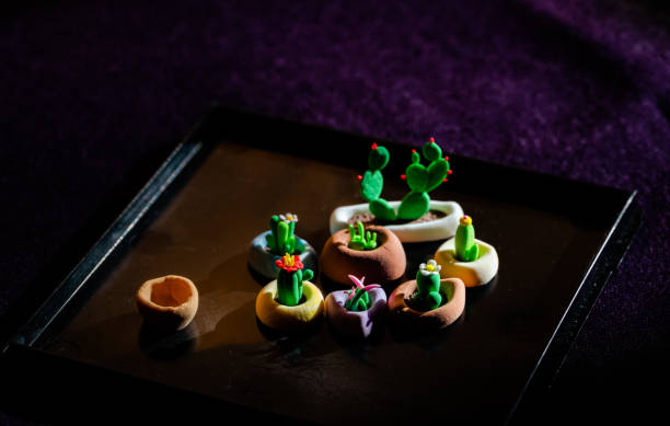 Various potted plants: plants made of polymer clay