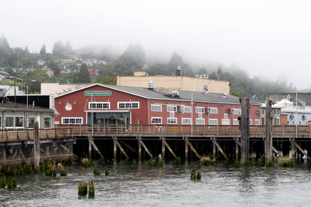 Panorama of Norrfällsviken, a Swedish vilage at the edge of a bay. it is early in the evening. Clouds are hanging low. Lights are on in some of the houses. Houses and trees are reflected in the water. This photo was taken in the Höga Kusten region.