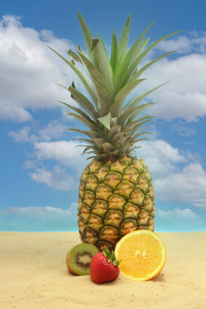 istock Pineapple, Tropical Drink and Fruit on Sand With Sky 1369854508