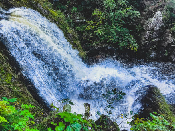 istock The waterfalls in the Black Forest. 1369861921
