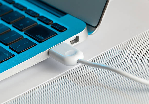 istock Macro shot of USB plug 136986226