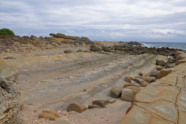 istock Xiaoyeliu scenic area located at Taitung, eastern Taiwan. 1369863623