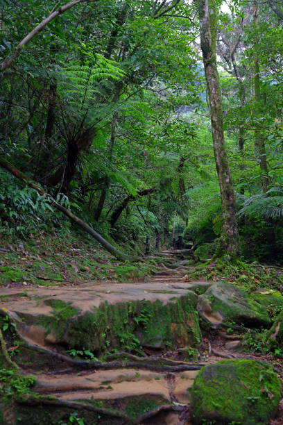istock Sandiaoling Hiking trail in the Sandiaoling park, 1369868340