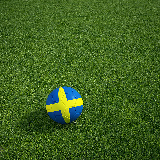 istock Swedish soccerball lying on a grass field 136986862