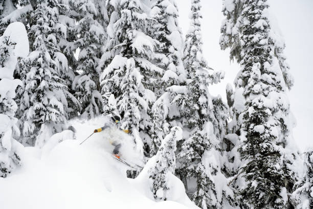 istock Backcountry skiing fresh powder 1369872322