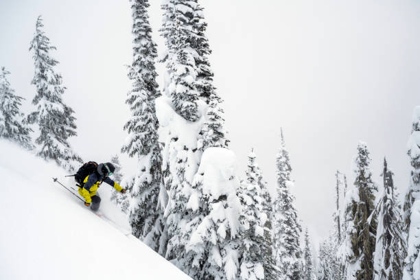 istock Backcountry skiing fresh powder 1369872325
