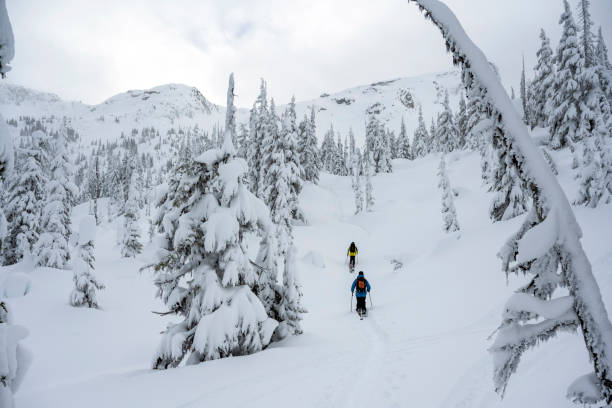istock Backcountry skiing and snowboarding 1369872369