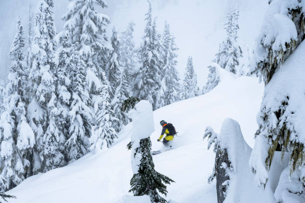 istock Backcountry skiing fresh powder 1369872399