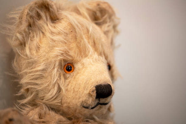 istock Teddy bear portrait. 1960's 1369873357