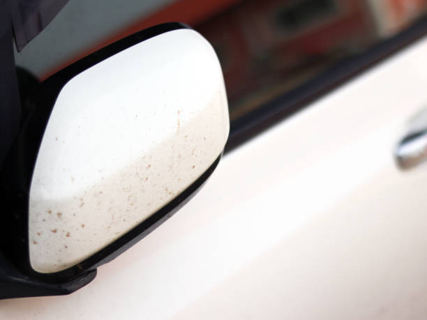 istock Close up White modern car strip black with rear view mirror covered with a layer of adhered dirt 1369875082