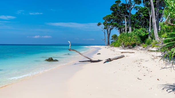 istock Laxmanpur beach, Neil Island, Shaheed Dweep, India 1369876783