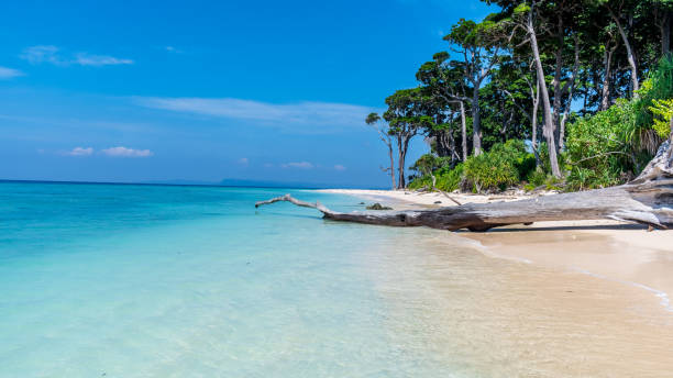 istock Laxmanpur beach, Neil Island, Shaheed Dweep, India 1369876804
