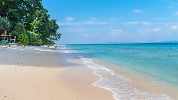 istock Laxmanpur beach, Neil Island, Shaheed Dweep, India 1369877087