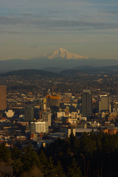 istock Cityscape with mountain in horizon 1369879863