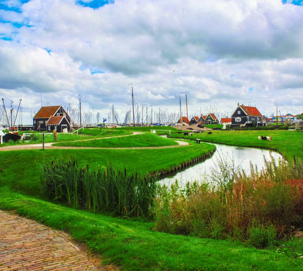 Red brick roof tile house. Cattle and sheep animals live on the green grass. Typical Dutch farm pastoral style. Sailboat on the channels.