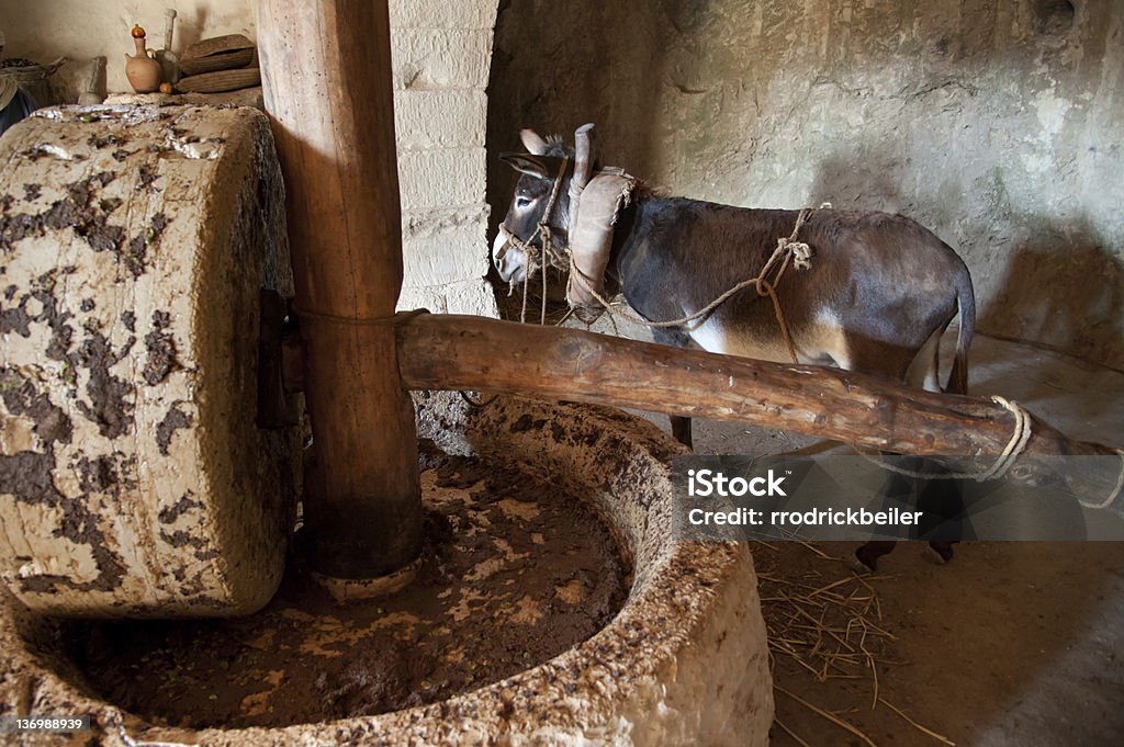 Ancient Olive Press Stock Photo - Download Image Now - Millstone, Donkey,  Israel - iStock