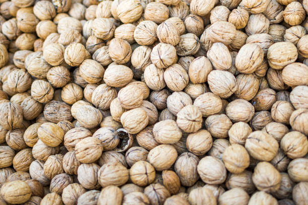 Close up photo of natural dried walnuts, selective focus, food background.