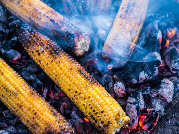 mais grigliato sul fuoco. - corn on the cob corn cooked boiled foto e immagini stock