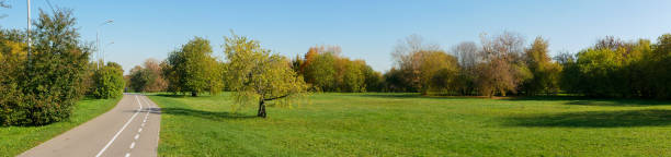 panoramic view of the green lawn and trees. sidewalk path in the park for walking. museum reserve kolomenskoye, moscow, russia - kolomenskoye imagens e fotografias de stock