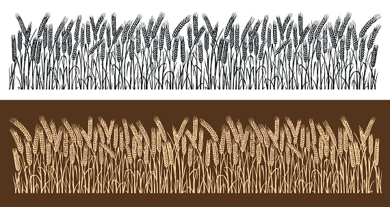 Ears of wheat horizontal seamless pattern. Sketch vector illustration
