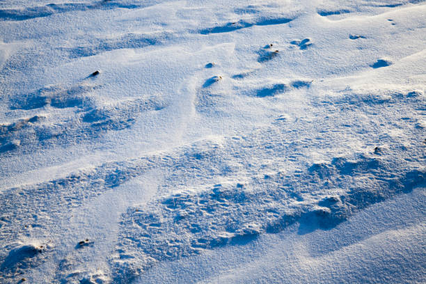 istock snow after snowfall in the winter season 1369898836