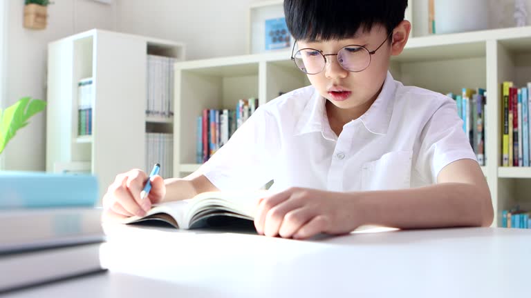 Boy concentrating on books, reading and studying