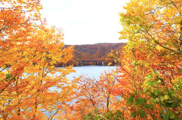 istock Lake Hibara in autumn 1369903098