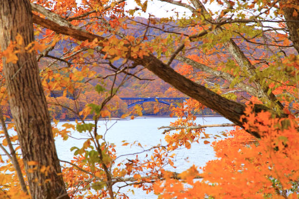 istock Lake Hibara in autumn 1369903101