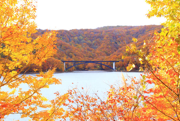 istock Lake Hibara in autumn 1369903109