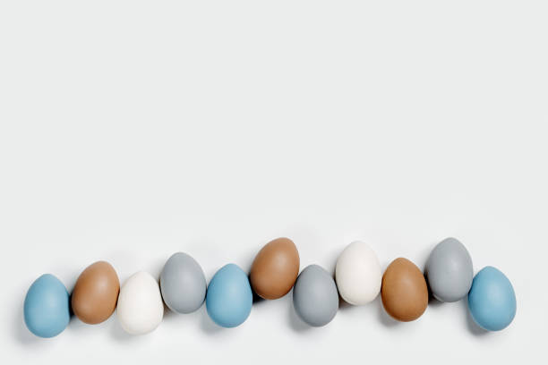 istock Dyed Easter eggs pastel colors blue, gray, beige in row on white background. Happy Easter holiday, celebration food concept, chicken egg neutral trendy color. Top view table 1369903209