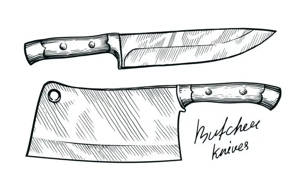 Vector illustration of Kitchen and meat cutting knives set. Cleaver chef and butcher tools. Sketch vintage vector illustration