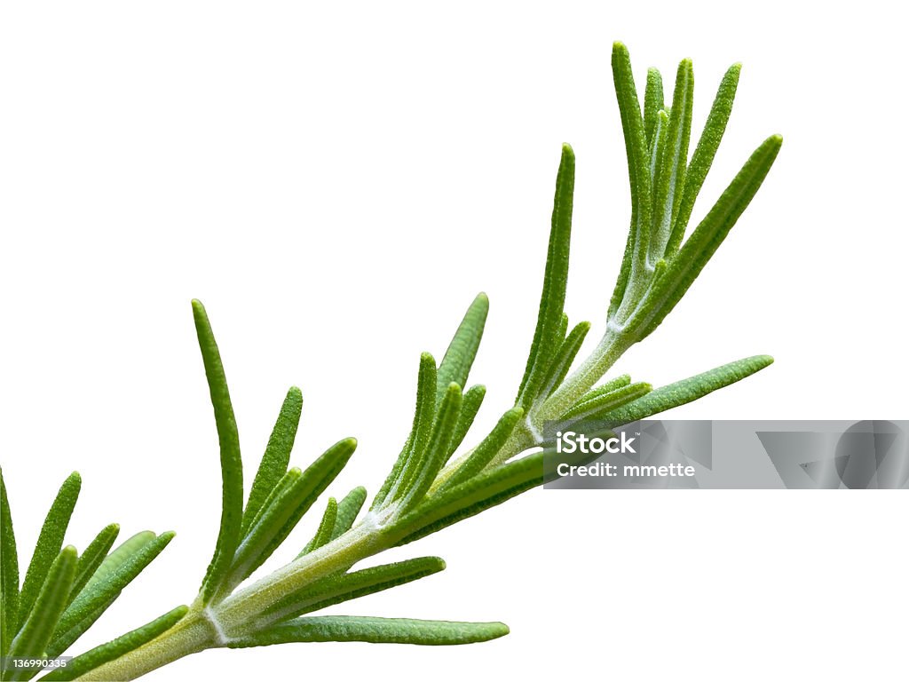 Rosmarino Erba aromatica divisione - Foto stock royalty-free di Alimentazione sana