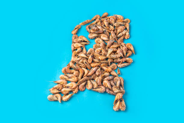Shrimps