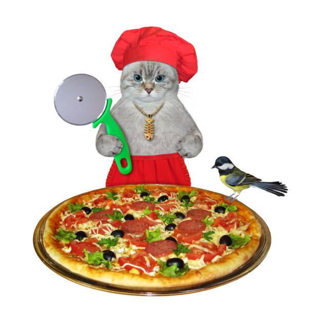 istock Cat ashen with special knife near pizza 1369904758