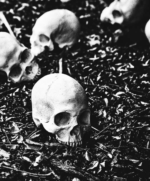 many human skulls in mass grave in forest. heavy grain added - gothic style fotos imagens e fotografias de stock