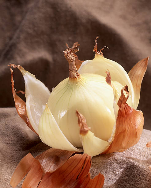 peeled onion onion shot with TC on 6x7 film onion layer stock pictures, royalty-free photos & images