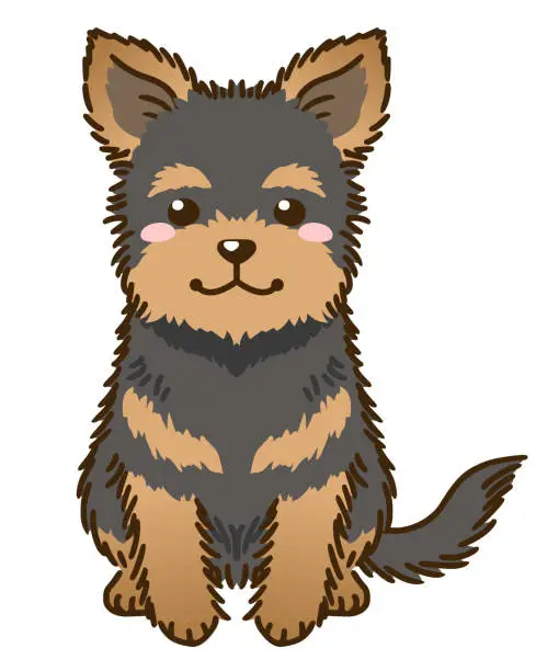 Vector illustration of Yorkshire Terrier(black and tan)