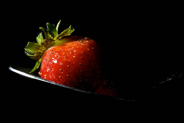 Les fraises sauvages - Photo