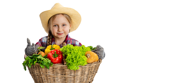 Funny farmer. Portrait of cute little girl, emotive kid in image of gardener with large basket of vegetables isolated on white background. Concept of healthy eating, work, job, organic food. Smiling