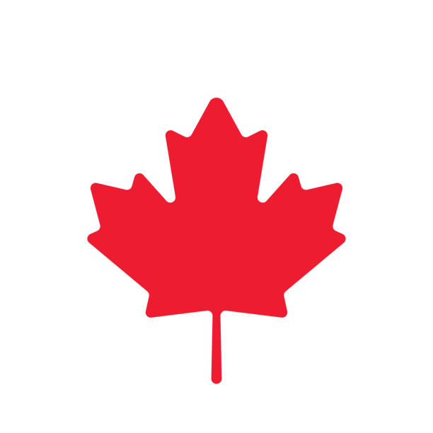 illustrazioni stock, clip art, cartoni animati e icone di tendenza di icona della foglia d'acero. simbolo canadese. bandiera del canada. canada. illustrazione vettoriale. illustrazione stock - leaf canadian culture maple leaf canada