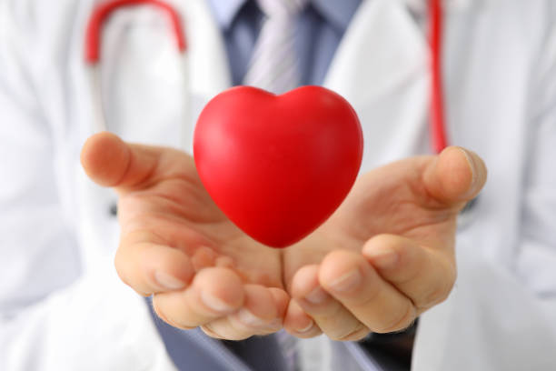 istock Doctor cardiologist holds small red heart closeup 1369915061