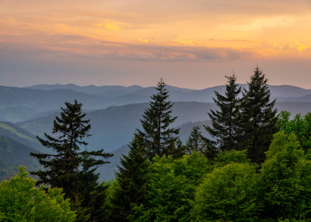 istock View over the Black Forest in Baden-Wuerttemberg 1369917474