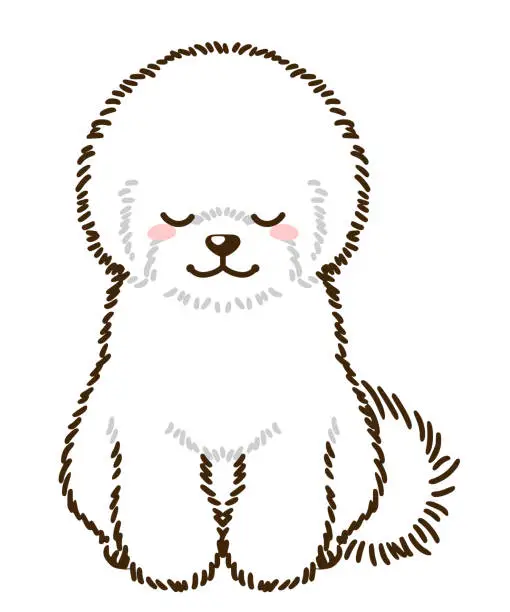 Vector illustration of Bichon Frise greeting