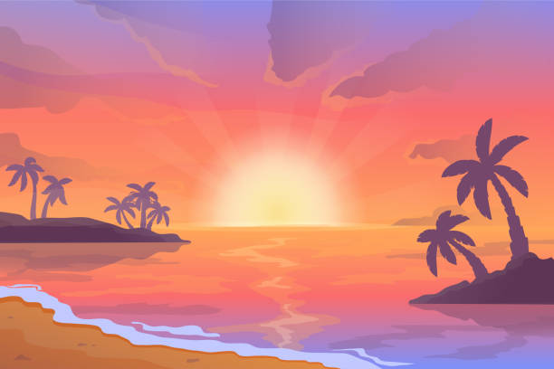 illustrations, cliparts, dessins animés et icônes de paysage de plage au coucher du soleil. scène de dessin animé avec lever de soleil sur la côte de la mer avec des silhouettes de palmiers. arrière-plan vectoriel - tropical climate airplane island hawaii islands
