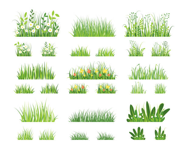 зеленая трава. мультяшная горизонтальная текстура травы, элементы зеленой границы фермы и сада. векторный изолированный набор - grass family stock illustrations