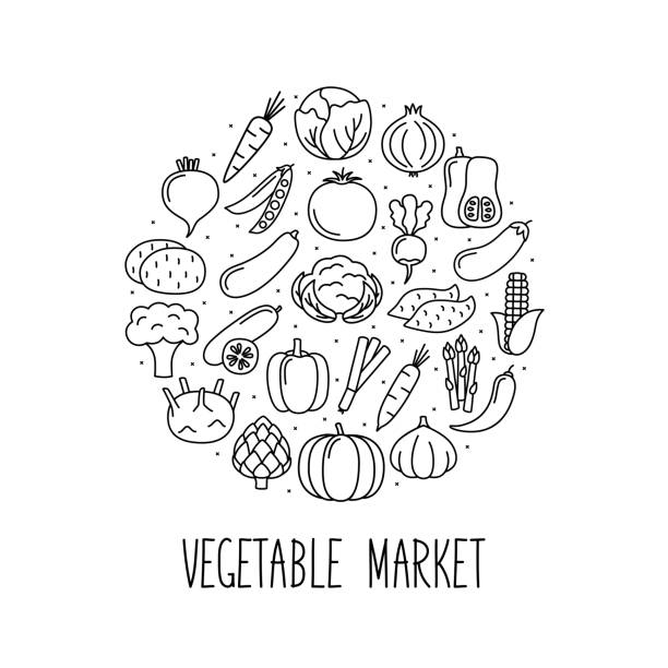 okrągły baner z ikonami warzyw w stylu liniowym. projektowanie dla rynku i sklepu, ilustracja wektorowa - vegetable leek kohlrabi radish stock illustrations