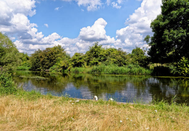 istock River Kennet and Avon Canal at Reading - UK 1369920743