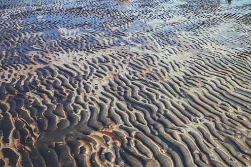 The sea and the beach are polluted with oil. A crude oil spill on the sand of a city beach