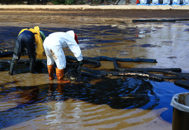 профессиональная команда и волонтер в сиз убирают грязь от разлива нефти на пляже, нефтяное пятно вымывается на песчаный пляж - oil slick фотографии стоковые фото и изображения