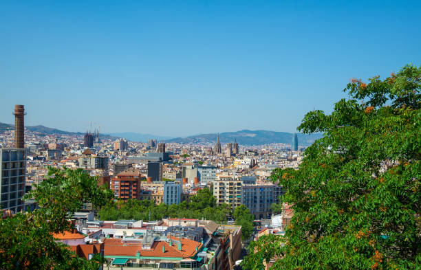 Panoramic view on the port of Barcelona city Barcelona, Catalonia / Spain - June 14, 2017: Panoramic view of Barcelona city in hot summer day columbus avenue stock pictures, royalty-free photos & images